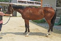 BEST KINGDOM picture