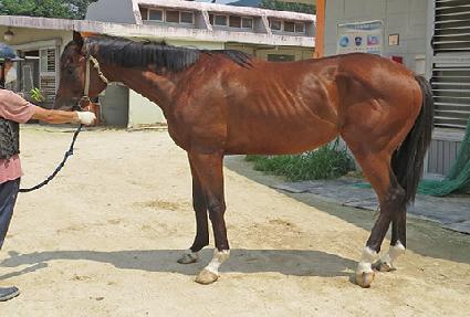 ����Ʈŷ�� ����