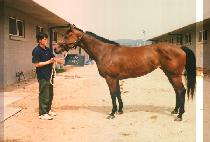 �β��� (DOO KKEO BI) ����