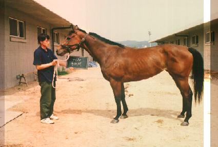 �β��� ����