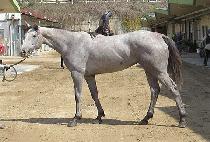 �ٷδٳ��� (BARO DANAEUN) ����