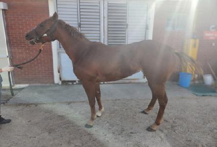 �뼺��ǳ ����