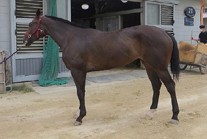 ��ũ���� ����