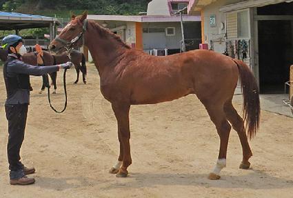 ���ҵ巡�� ����