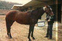 ȣ�곪 (HO SAN NA) ����