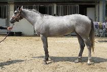 �����Ʈ�Ѽ� (BRIGHT HANSEN) ����