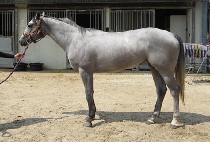 �����Ʈ�Ѽ� ����