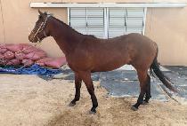 �ڳʿ� (CORNER ONE) ����