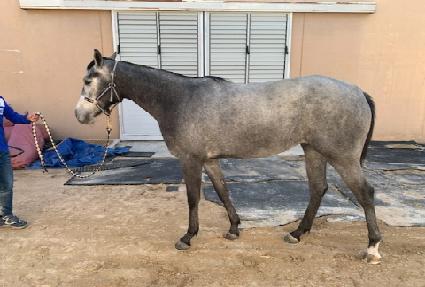 ���� ����