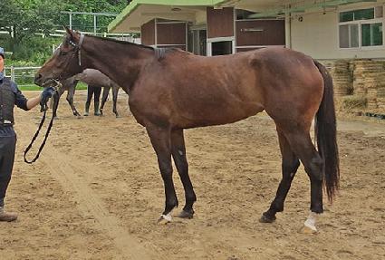 �ǿ������� ����