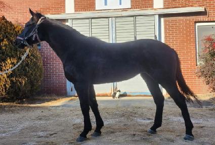 �������̺� ����