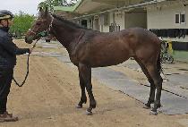 SHE IS COMING picture