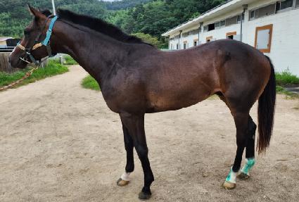 ����Ʈ���̼� ����