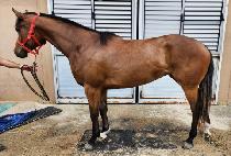 ���Һ긮�� (AUTUMN BREEZE) ����