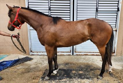 ���Һ긮�� ����