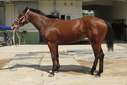 ���׾�Ƽ��Ʈ ����