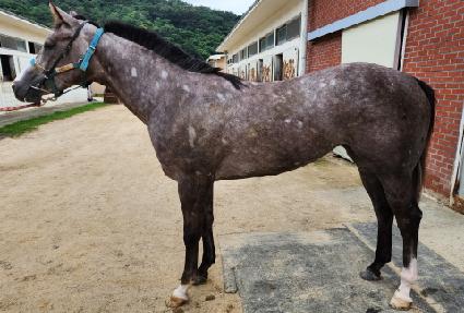 ��������� ����