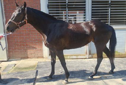 ����������Ʈ ����