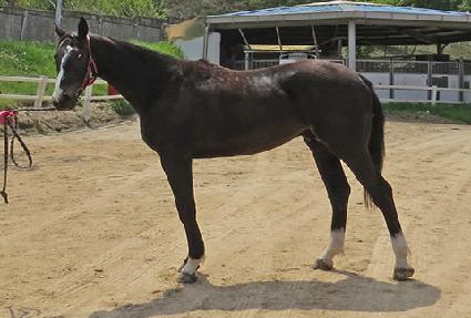 �ݼ��Ŀ� ����