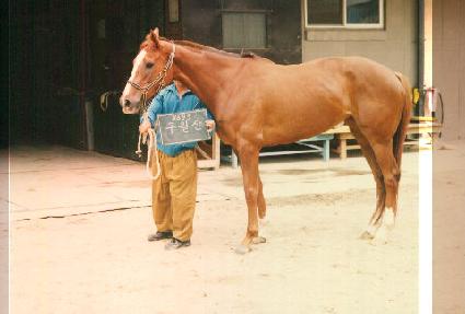 ������ ����