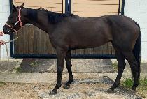 ������ũ�Ӵ� (WE LIKE MONEY) ����