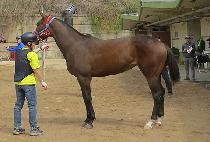 ��´��뼼 (RAON THE DAESE) ����