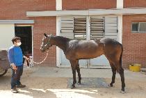 �÷����è�� (COLUMBIA CHAMP) ����