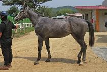 WONDERFUL JET picture