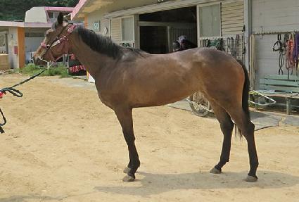 ����Ǯ�İ� ����