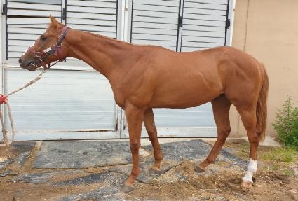 ����Ǯ���� ����