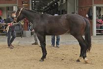 ���丮�ǹ� (VICTORY SILVER) ����