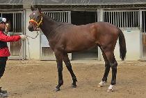 ��´�ž (RAON THE TAP) ����