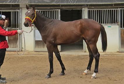 ��´�ž ����