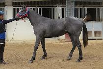 ��´�Ŭ���� (RAON THE KLAMMER) ����