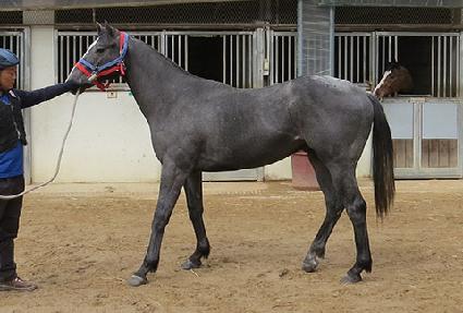 ��´�Ŭ���� ����