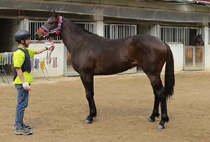 ��´��� ����