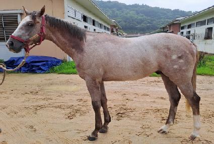 ��ȣ���� ����