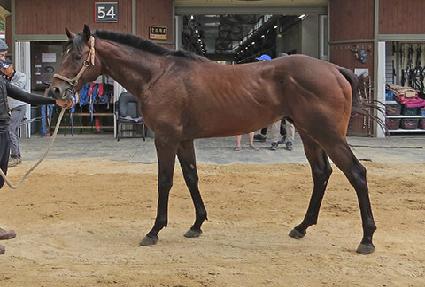 ���ο�� ����