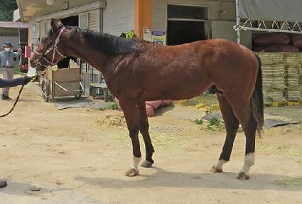 ���� ����