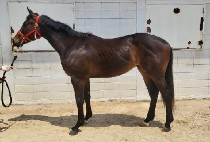 �ݾƵ��ü� ����