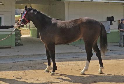 �۽�Ʈ���� ����