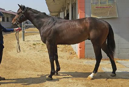 ������� ����