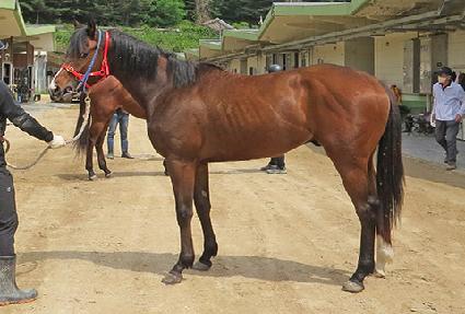 ����Ǯ���� ����