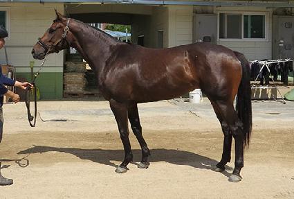 �������� ����