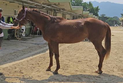 �۷ι��ھ� ����