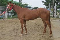 ���������� (CHAMJOEUN JILJU) ����