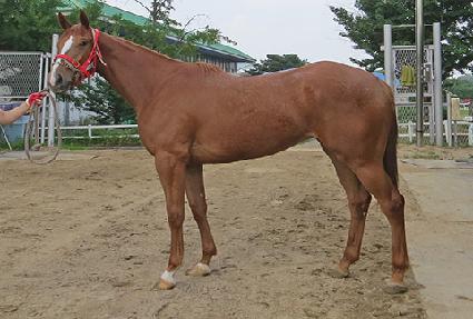 ���������� ����