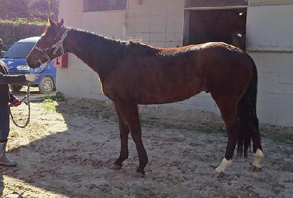 �ų������� ����