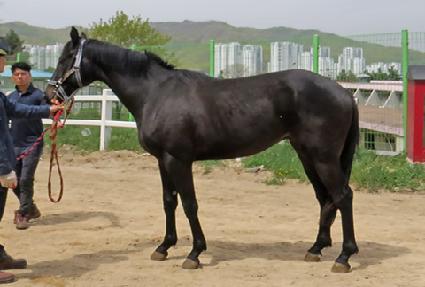 ������� ����