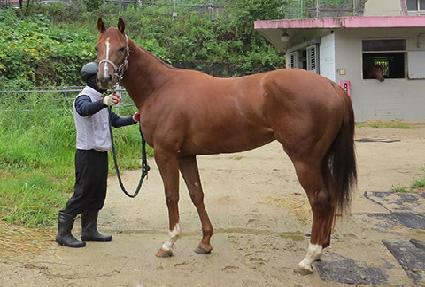 �þ�����¹� ����